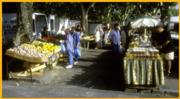 Market Day in Arles