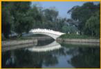 Curved Bridge Beiling Park