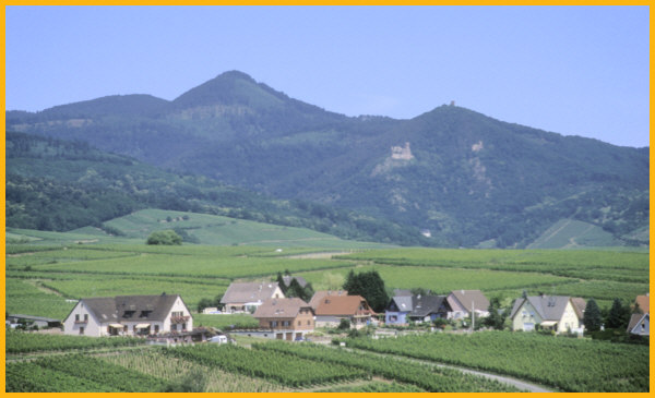 Alsace View