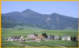 Alsace View
