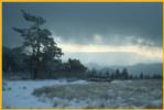 Black Forest Winter Scene