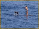 Paddle Surfer and Dog