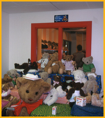 Teddy Bear Hospital