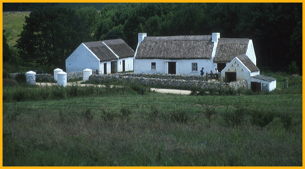 Ulster Style Farm