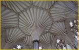 Chapter House Fan Vaulting